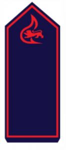 Schulterstück "Feuerwehrmann i. Praktikum"